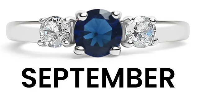 Stainless Steel Birthstone Rings with CZ Accents
